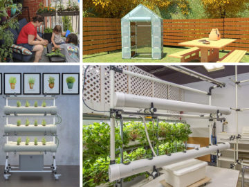DIY urbain farming projects