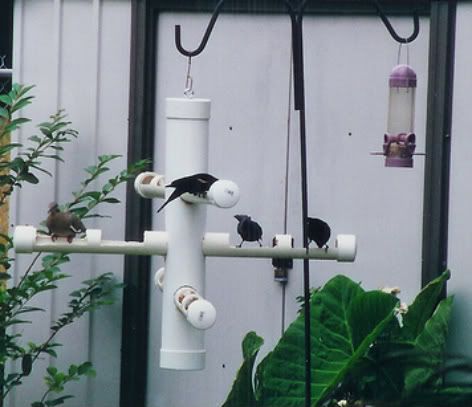 A tube bird feeder