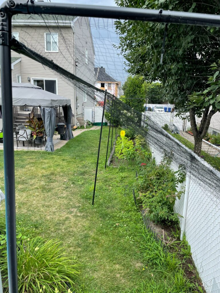 Garden protection net