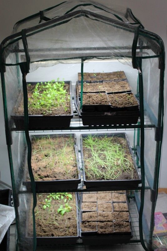 greenhouse shelves DIY